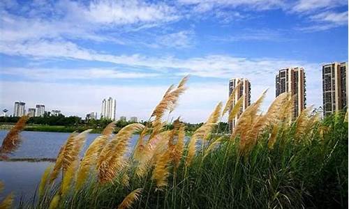 青龙湖公园 附近住宿_青龙湖公园附近住宿推荐